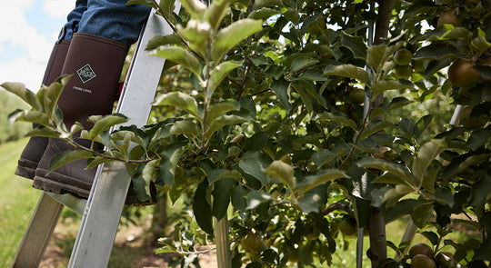 deal banner image_9